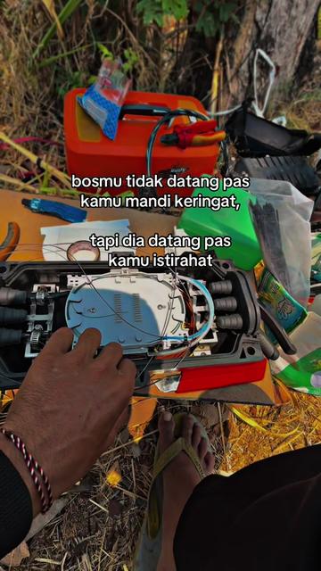@Alfarisi