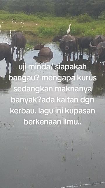 @Wan nasrey