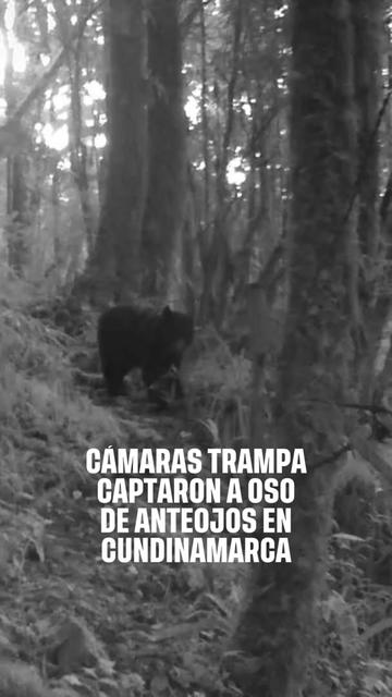 @EL TIEMPO