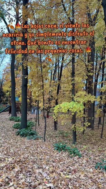 @🍂🍁🌻OTOÑO 🌻🍂🍁