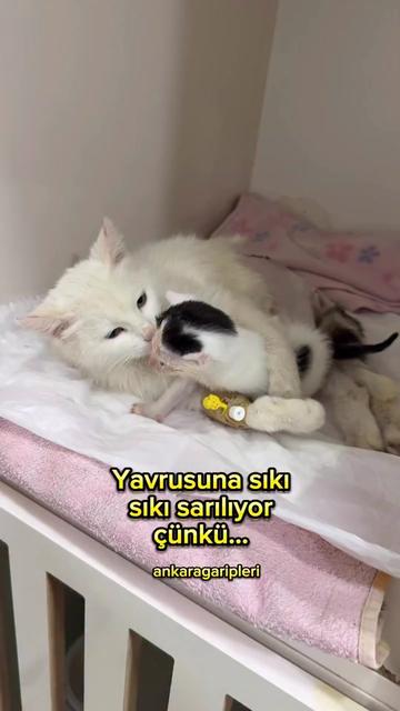 @Asiye