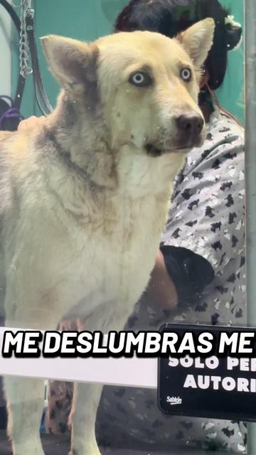 @erika
