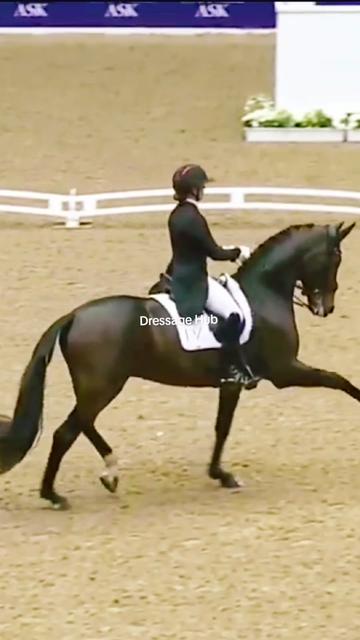 @DressageHub