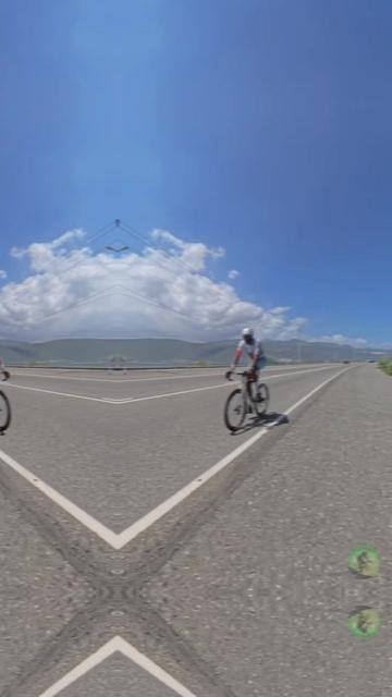 @pedalpulse