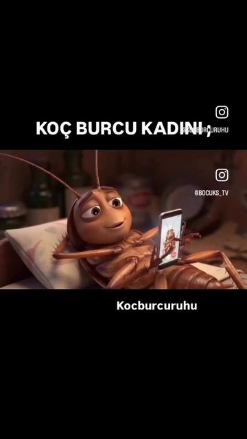@kocburcu6