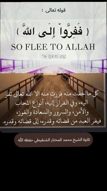 @من المدينة 🇸🇦 Madinah