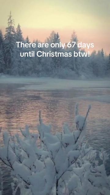 @christmas vibes!