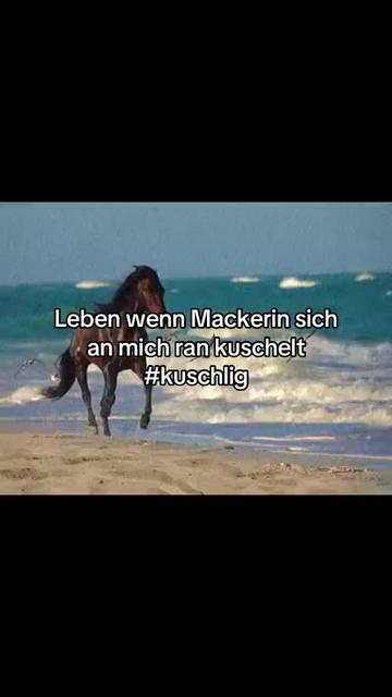 @der_deutsche_aus_47
