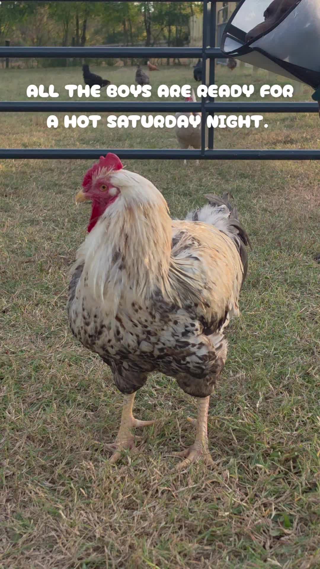 @FIRST TRY FARM