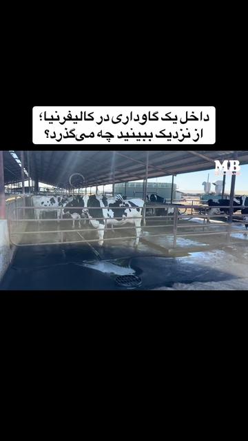 @Musa Khan