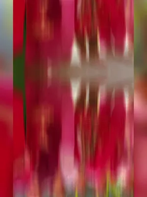 @कमला खड्का