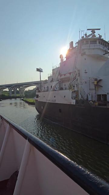 @Blue Horizon Sailor