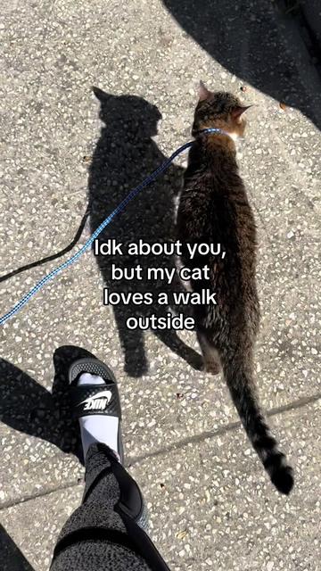 @✼ KRISTI ✼
