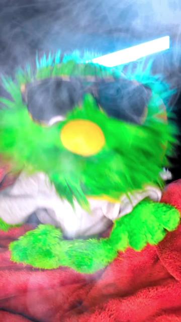 @Rocko-DerWolf
