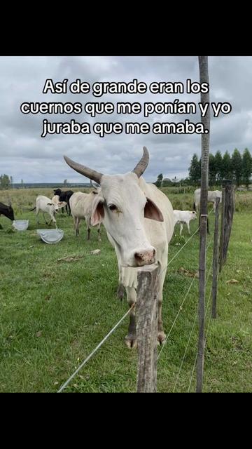 @Noemi_Wyder 
