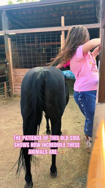 @Cowgirl Tuff Colt Training ❤️