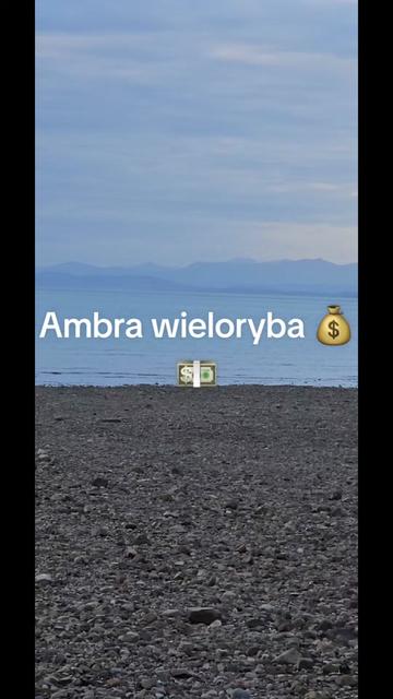 @Karolina