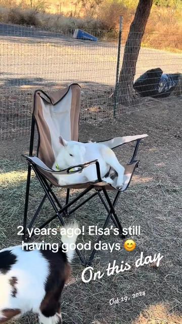@WollamFarm