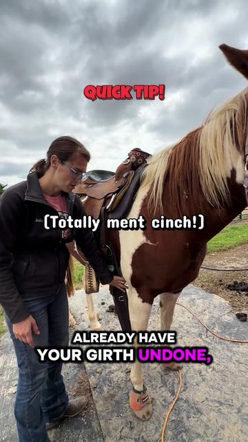 @yourhorseandponyleader