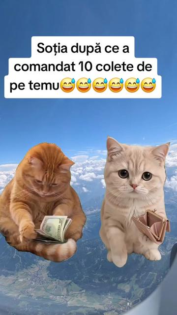 @Irimia Vasilică