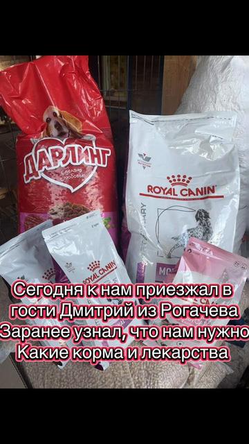 @Директор &laquo;Песокот&raquo;250🐈🐶