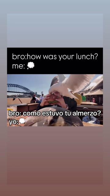 @vl0gsca