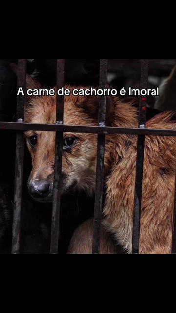 @Carne é cruel