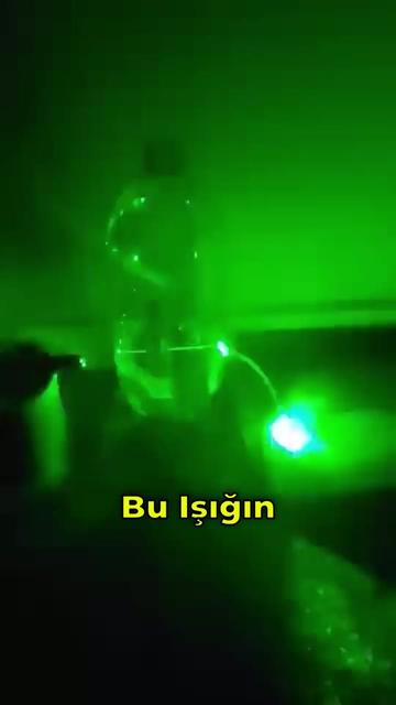 @Dahi Şort