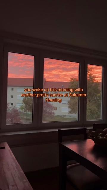 @SyLein👩🏻🍳🇫🇲