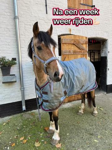 @Syrche Cordewener