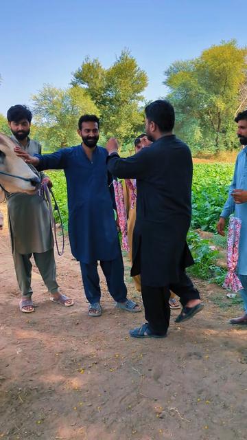 @چوہدری شاہد سلیم مڑل