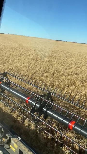@bf48farmer