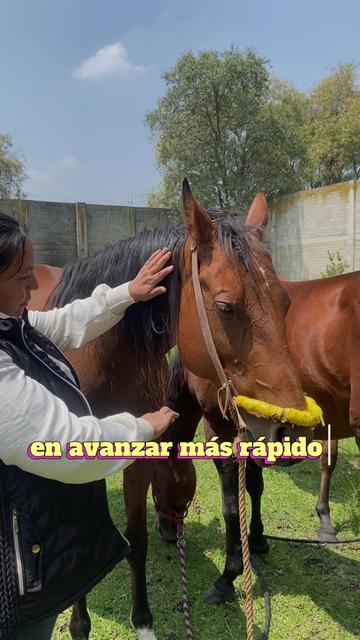 @Shaktali Energia del Corazón💕