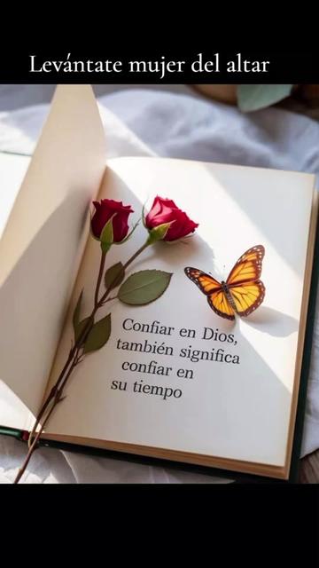 @Miranda Rojas.
