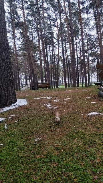 @Томушка