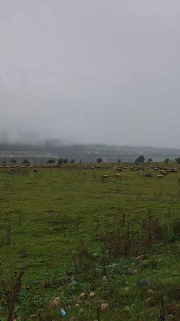 @Fikrət H&uuml;seynov