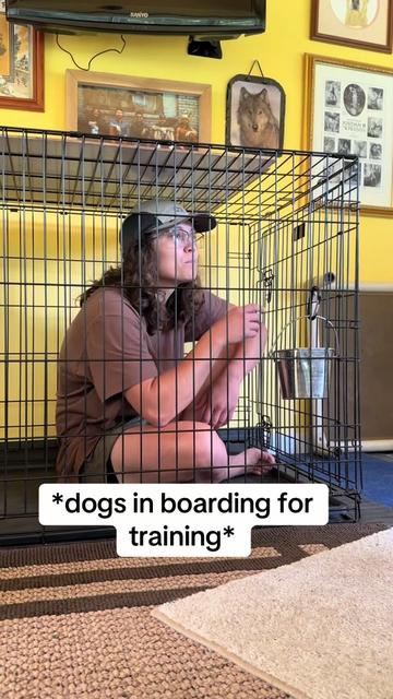 @OUTBOUNDDOGS