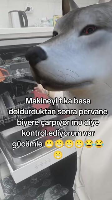 @Prenses ve Prens annesiyim🩵🩷