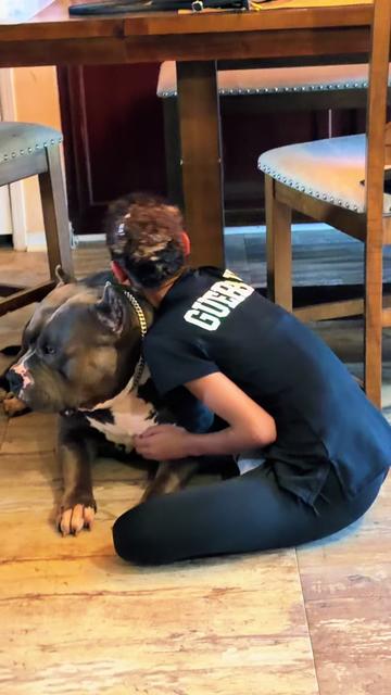 @🐾 Boundless Bullies 🐾