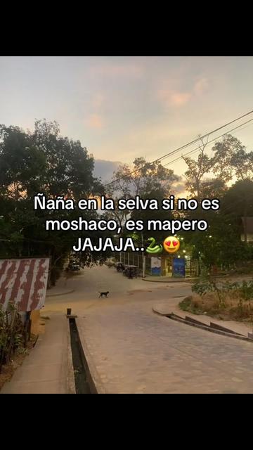@Jhair