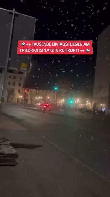 @Duisburger Nachrichten