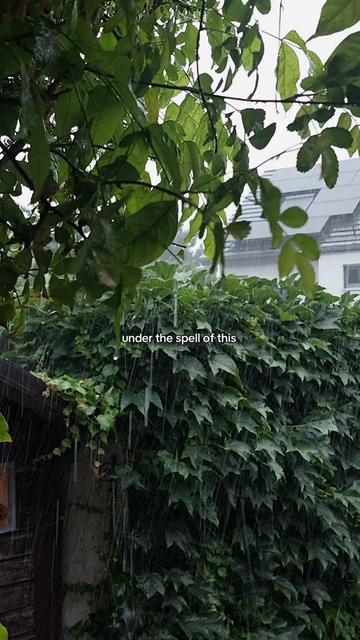 @Lost under the rain