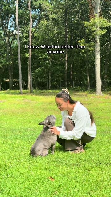 @Winston & Charlie 🐾