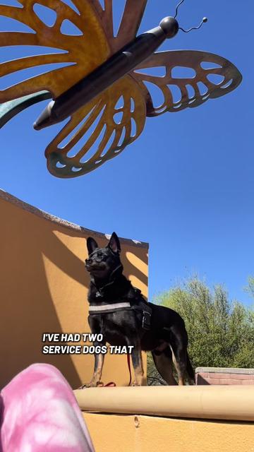 @lex 🐺⛓️