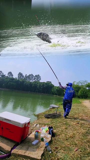 @Dũng Nguyễn Fishing