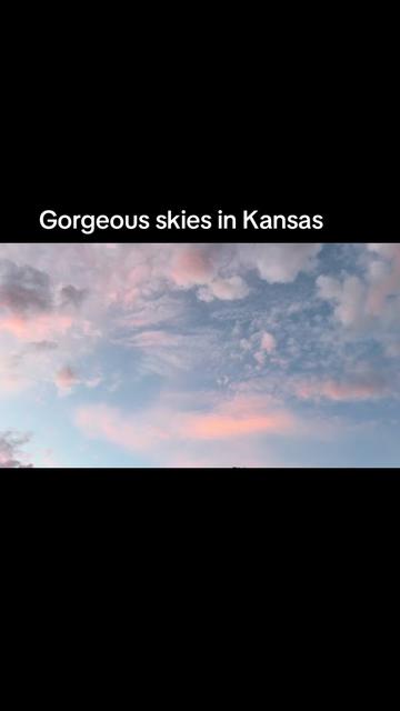 @prairiepiglets