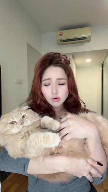 @syiqiyn