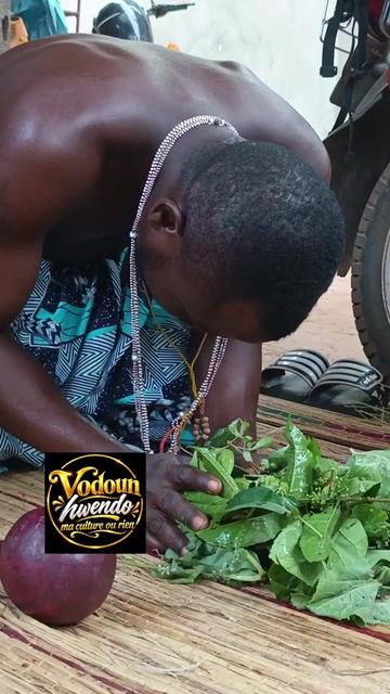 @vodoun Hwendo