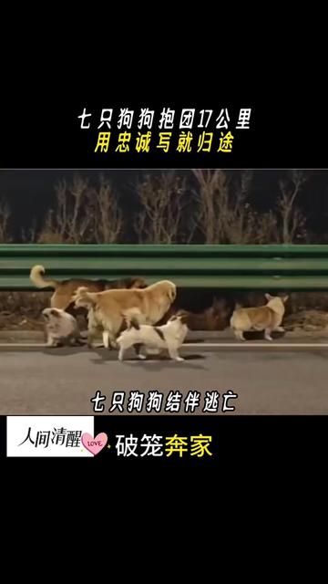 @人间清醒