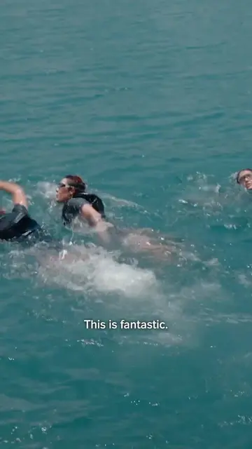 @The Challenge